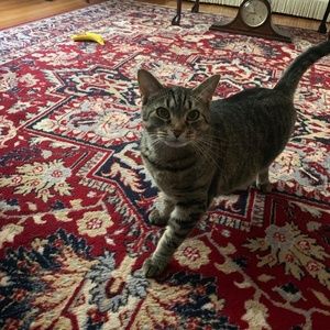 Meet your Posher, Ken